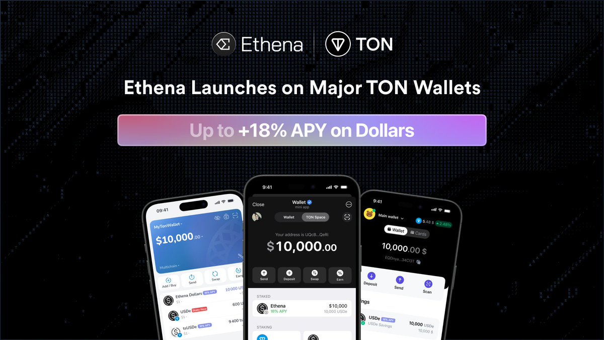Stablechain gasless USDT transfer interface